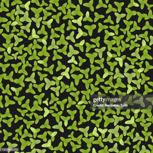 duckweed, lemna sp. - duckweed stock illustrations