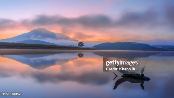 the lonely pine tree reflection on the lake with magical of the sky and clouds at sunrise - saigon river fotografías e imágenes de stock