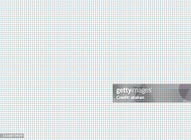 315 Graph Paper Background Vector High Res Illustrations - Getty Images