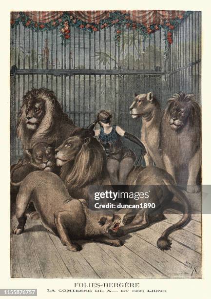 stockillustraties, clipart, cartoons en iconen met vrouwelijke leeuw tamer met haar leeuwen, folies bergere, 19de eeuw - dompteur