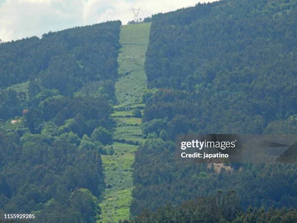 Firebreaks Examples 78 Firebreaks Stock Photos, High-Res Pictures, and Images - Getty Images