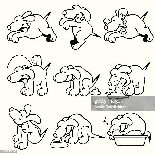 line dog - urine vector stock illustrations