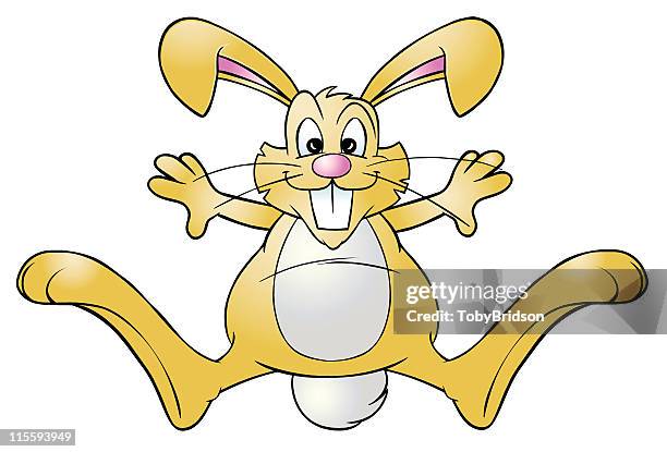 690 Hop Rabbit Stock Photos, High-Res Pictures, and Images - Getty Images