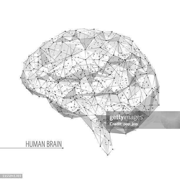 abstract vector image of human brain - three-dimensional low poly illustration. outlines, triangles, dots. plexus. template design - brain sketch stock illustrations