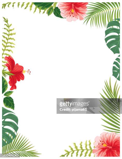 夏威夷花卉和植物 - cocos plant 幅插畫檔、美工圖案、卡通及圖標