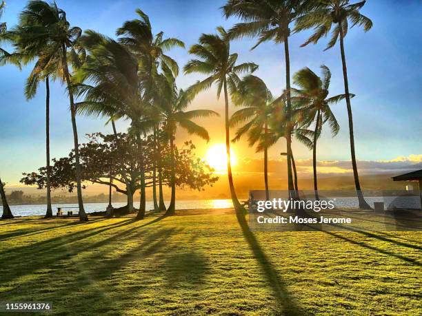 moku’ola - kaneohe bildbanksfoton och bilder