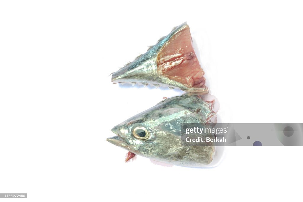 Tuna head and tail with a white background