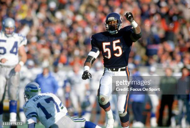Otis Wilson of the Chicago Bears celebrates while standing over quarterback Dave Krieg of the Seattle Seahawks during an NFL football game December...