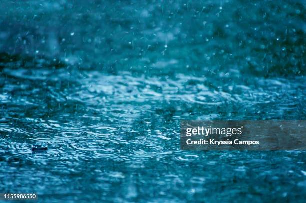 splashing raindrops texture - lluvia torrencial fotografías e imágenes de stock