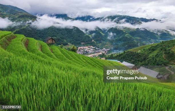 world heritage ifugao rice terraces - luzón fotografías e imágenes de stock