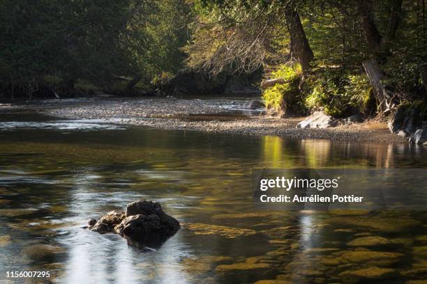 rivière sainte-anne, morning light - parc national de la gaspésie stock pictures, royalty-free photos & images