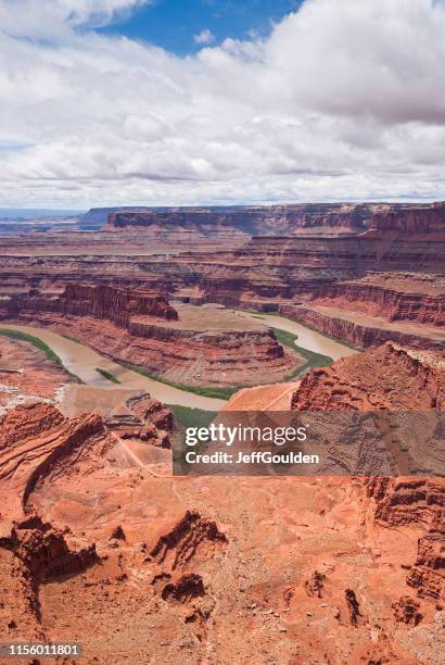 the colorado river from dead horse point - colorado plateau stock pictures, royalty-free photos & images