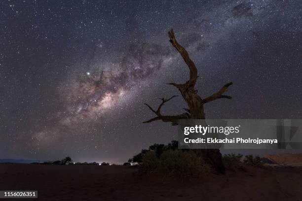 deadvlei and the milky way - windhoek safari photos et images de collection