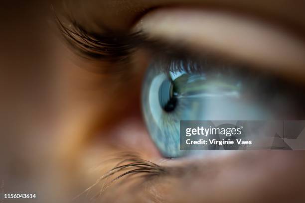 blue eye - iris eye stockfoto's en -beelden