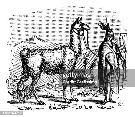 Native american in south America with llama Native american in south America with llama