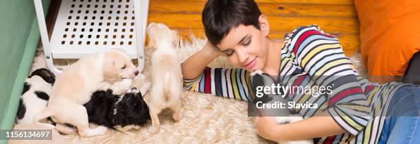 gelukkige vrouw spelen met puppies - people banner stockfoto's en -beelden