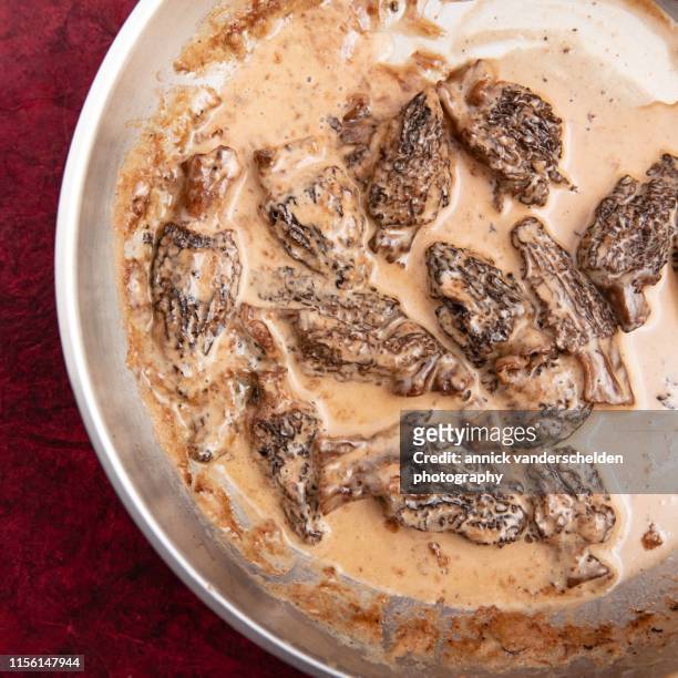 morel cream sauce - morel mushroom stock pictures, royalty-free photos & images