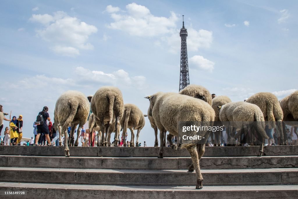 TOPSHOT-FRANCE-FARMING-AGRICULTURE-CITY-SHEEP