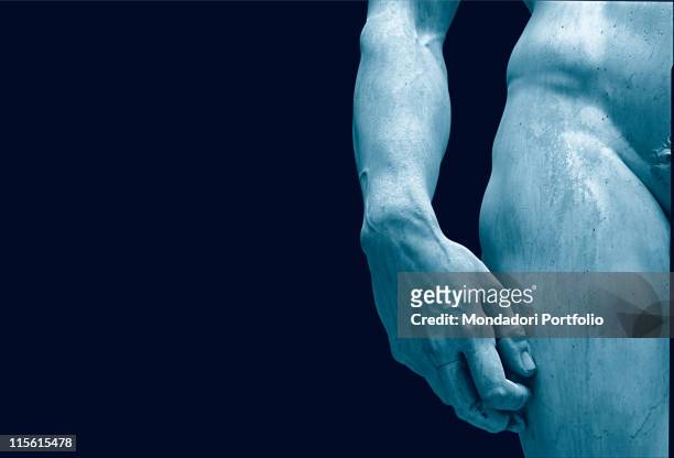 Italy; Tuscany; Florence; Accademia Gallery. Detail. Hand hip