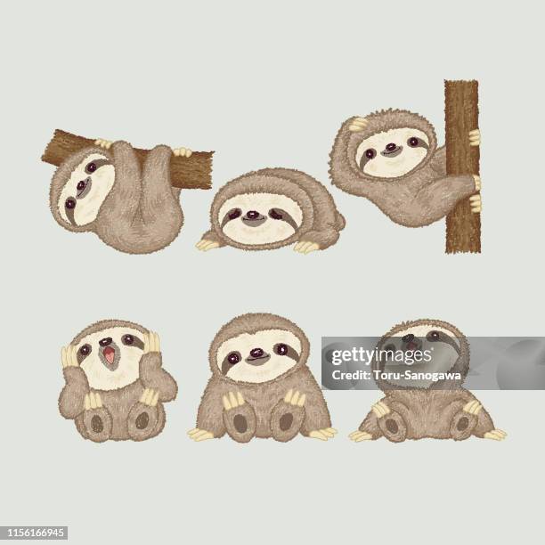 sloth of various poses - pampered pets stock illustrations