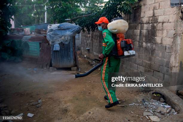 Personnel of the Health Minister of Dominican Republic fumigates between houses at the Santo Domingo's neighborhood Pantoja to fight dengue fever, on...