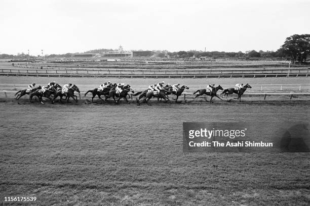 General view of the 30th Japanese Derby at Tokyo Racecourse on May 26, 1963 in Fuchu, Tokyo, Japan.