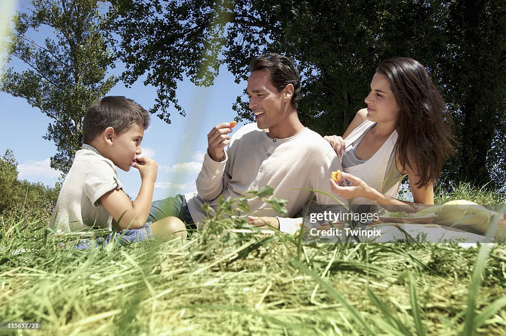 Family having a picnic