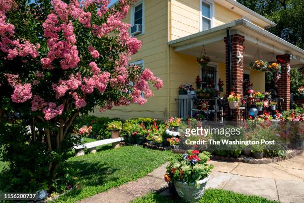Crepe Myrtle blooms near a house in the residential neighborhood of Garfield Heights in Washington, DC on July 12, 2019.