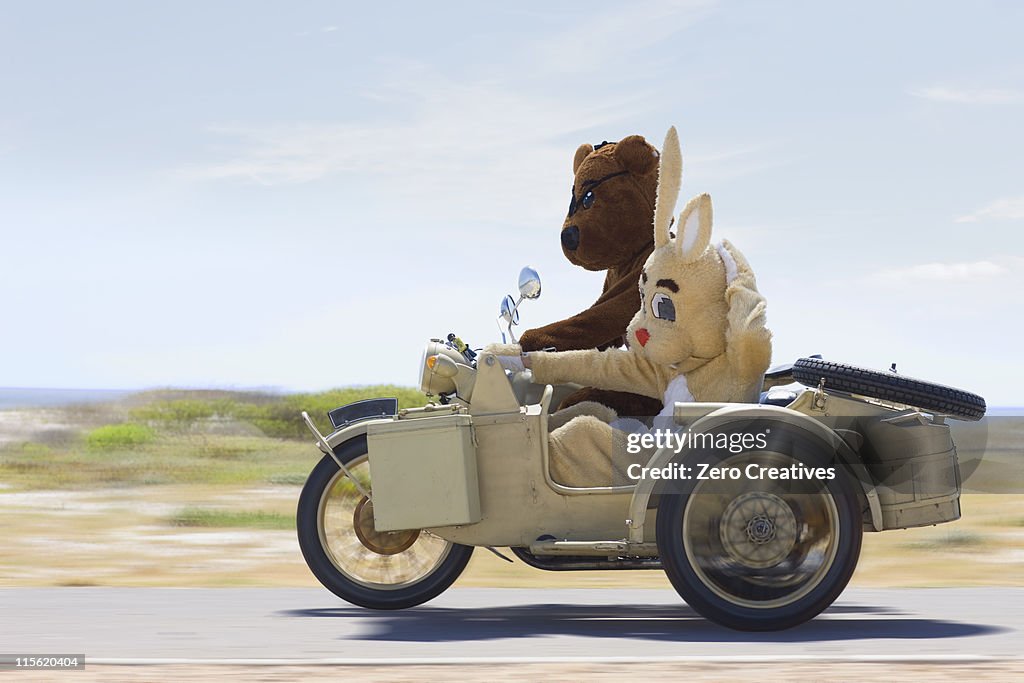 Bear and bunny riding a motorbike