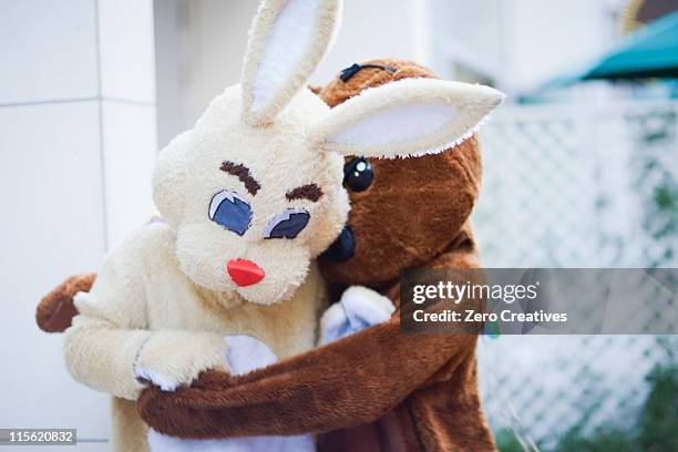 bear embracing bunny - bear suit stock-fotos und bilder