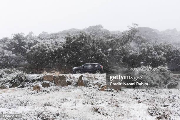 car driving through snowy weather conditions in mount buffalo national park, australia - car snow stock pictures, royalty-free photos & images