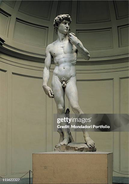 Italy; Tuscany; Florence; Accademia Gallery. Whole artwork. David naked total body marble museum exhibition statue