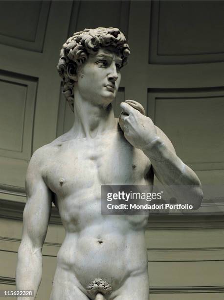 Italy; Tuscany; Florence; Accademia Gallery. David male nude Detail. Trunk body marble statue