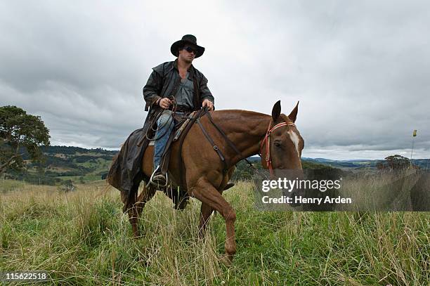 man on horse in countryside - horse riders stock pictures, royalty-free photos & images