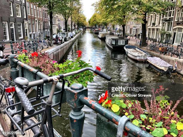 canal amsterdam - amsterdam canal stockfoto's en -beelden