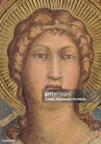 Italy, Tuscany, Siena, Palazzo Pubblico, Sala del Mappamondo. Detail. Face of the Archangel Michael halo; aureole rays parting crown curls brown gold...