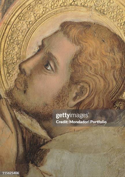 Italy, Tuscany, Siena, Palazzo Pubblico, Sala del Mappamondo. Detail. Face of St Victor halo; aureole circular decoration flowers leaves rosettes...