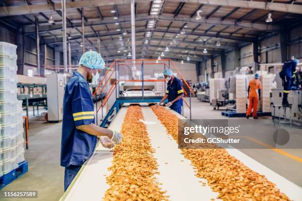 produktionslinienarbeiter in einer keksfabrik in afrika - nahrungsmittelfabrik stock-fotos und bilder