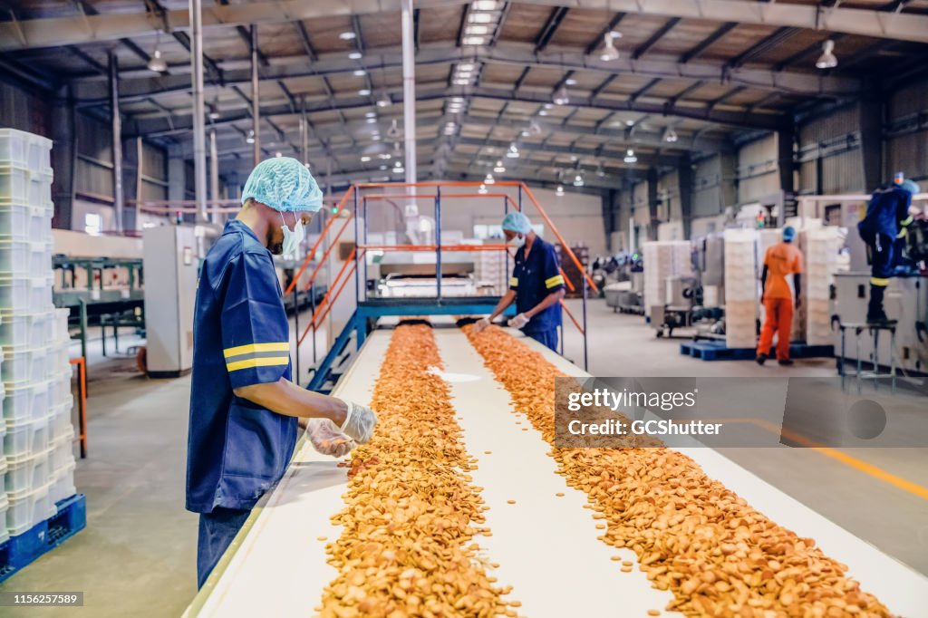 Production Line Workers at a Biscuit Factory in Africa