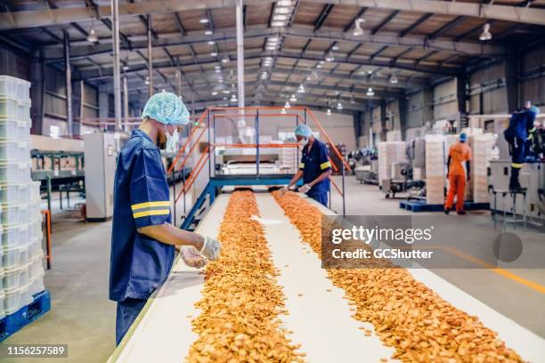 production line workers at a biscuit factory in africa - food manufacturing stock pictures, royalty-free photos & images