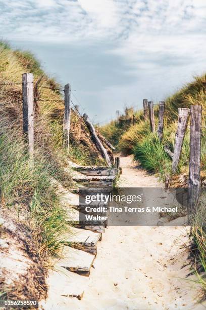 a path through the dune to the beach at the northsea. - kampen sylt stock-fotos und bilder