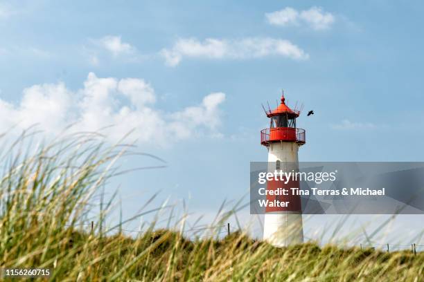 lighthouse on the beach of sylt. "ellenbogen" - vuurtoren stockfoto's en -beelden