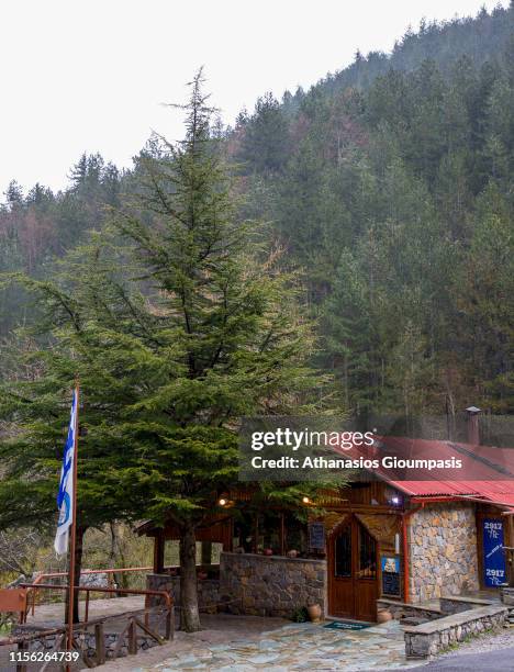 Cafe restaurant at Prionia Start route at 1100m altitude to Spilios Agapitos refuge at 2100m is the most trodden trail on Olympus. It is a part of...