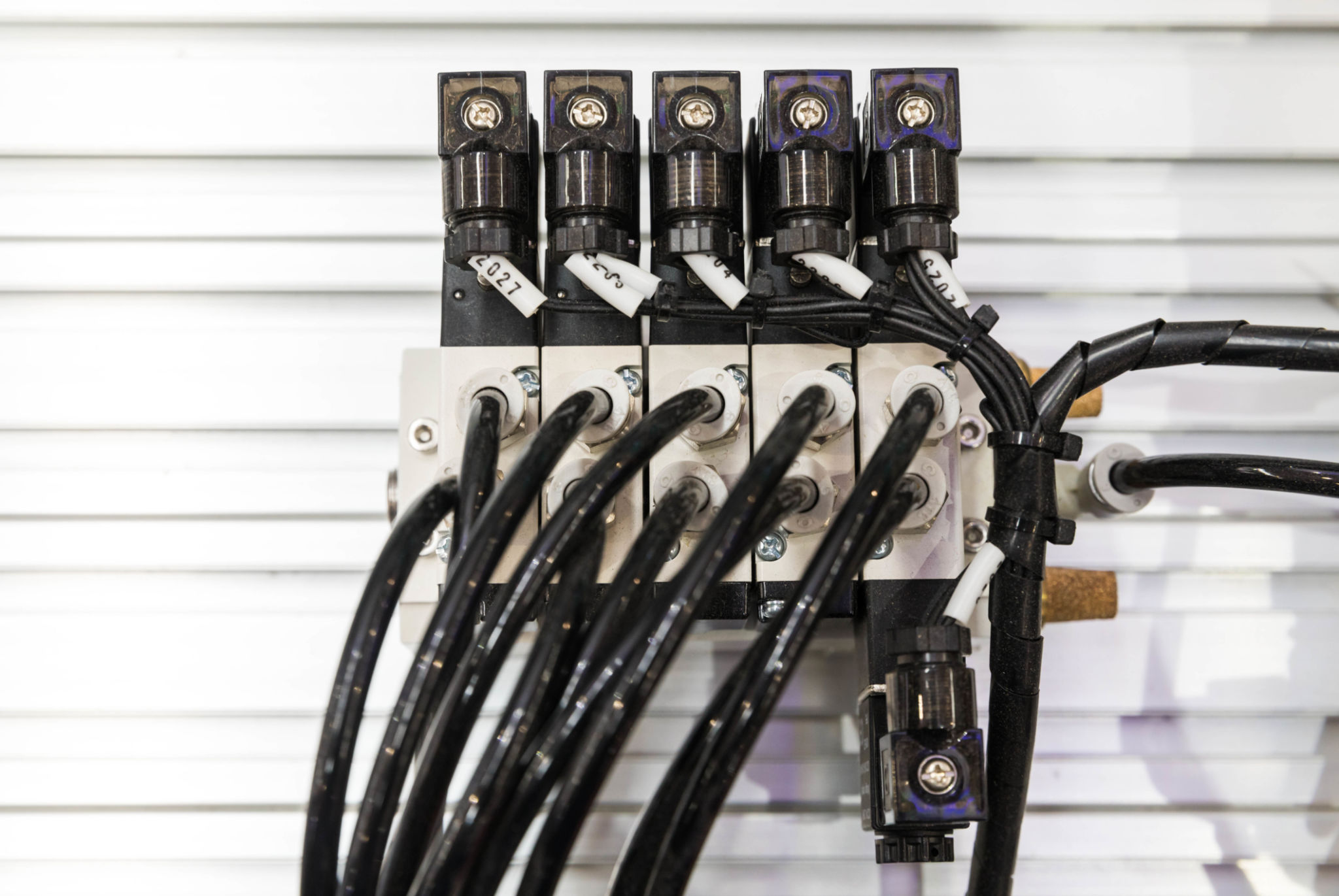 connessioni elettriche distributori