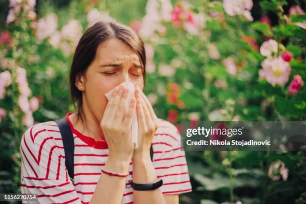 the season of sneezes - spring allergies stock pictures, royalty-free photos & images