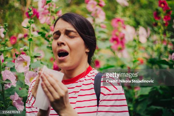 allergy - sneezing stock pictures, royalty-free photos & images
