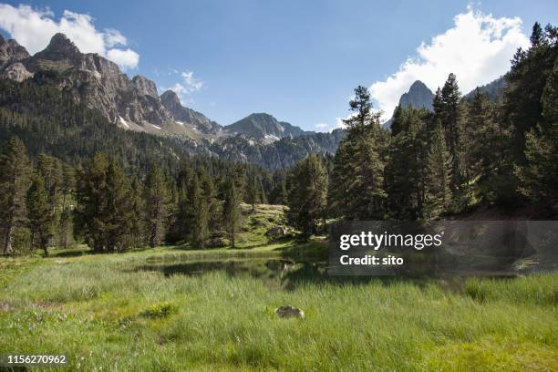 batisielles mountain lake, huesca valley, spain - pyrenees stock-fotos und bilder