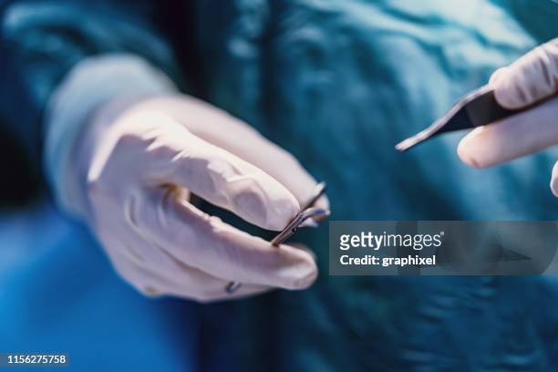 primer plano del cirujano haciendo puntos durante la cirugía de rinoplastia - sutura fotografías e imágenes de stock