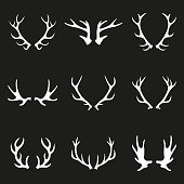 Antler icon set. Deer antlers or Horns collection. Vector illustration.
