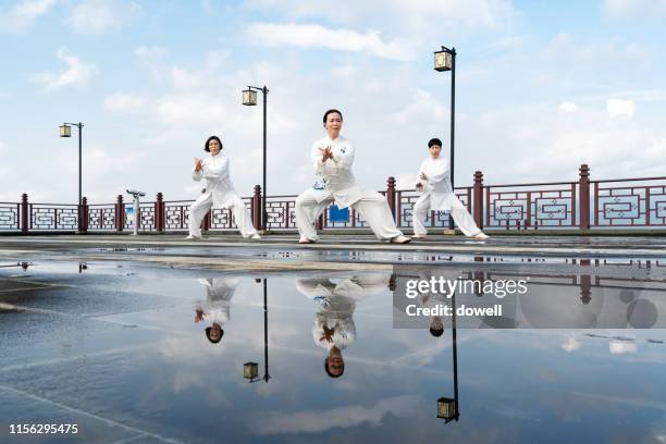 chinese kungfu with sword - kung fu photos et images de collection